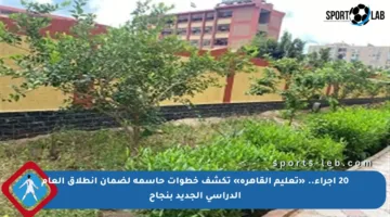 20 إجراء.. «تعليم القاهرة» تكشف خطوات حاسمة لضمان انطلاق العام الدراسي الجديد بنجاح